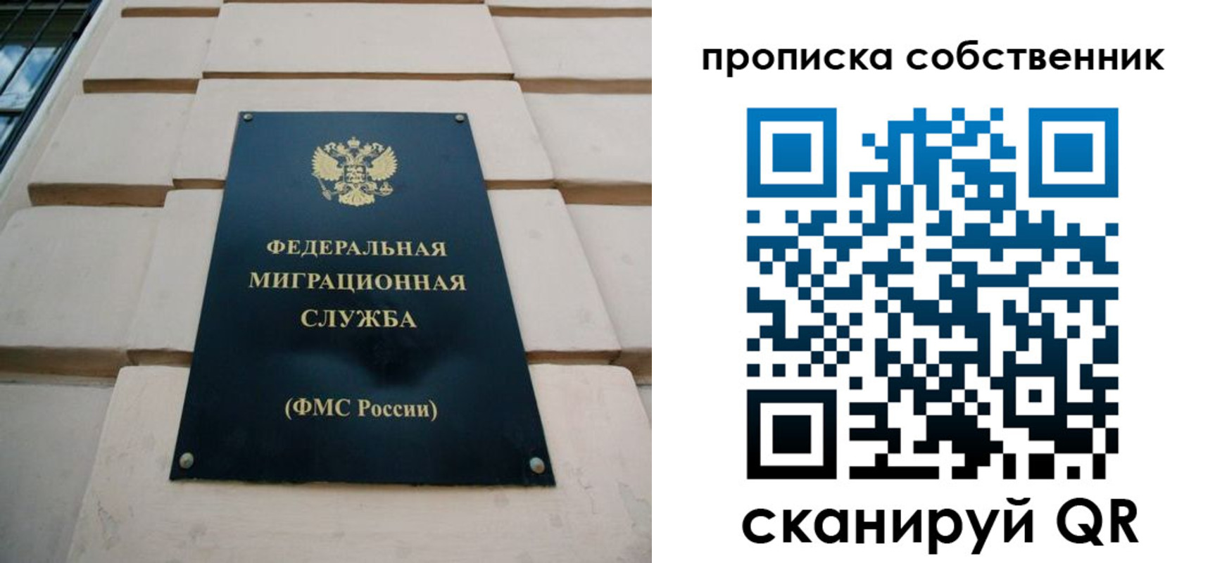 прописка законно в Сосновке